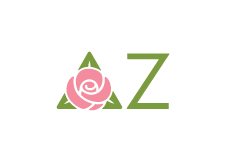 Delta Zeta Brand Standards | Delta Zeta
