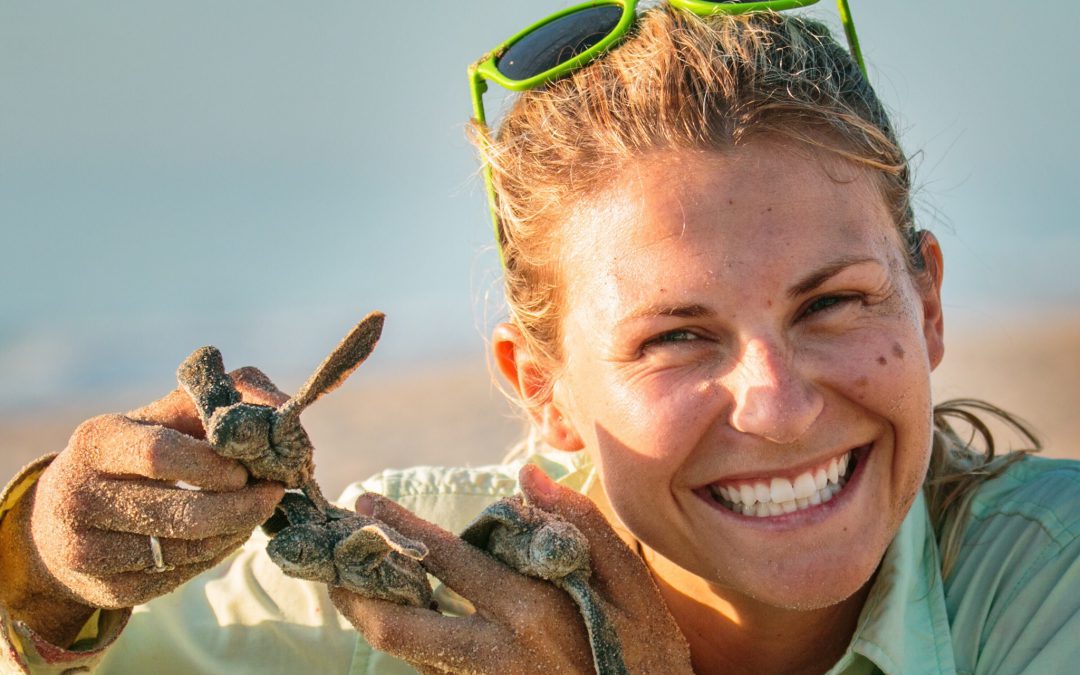 World Turtle Day 2022